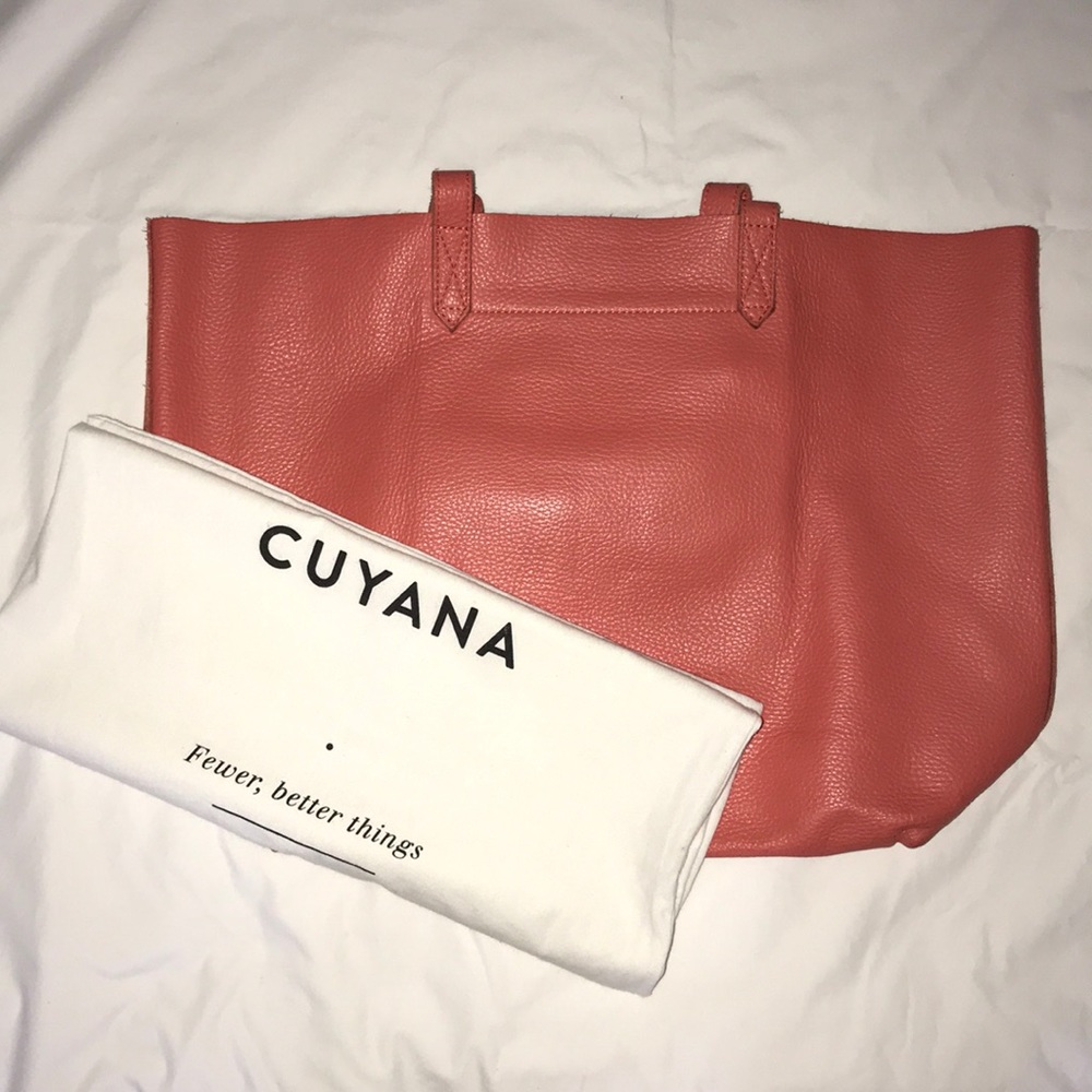 Cuyana Tote